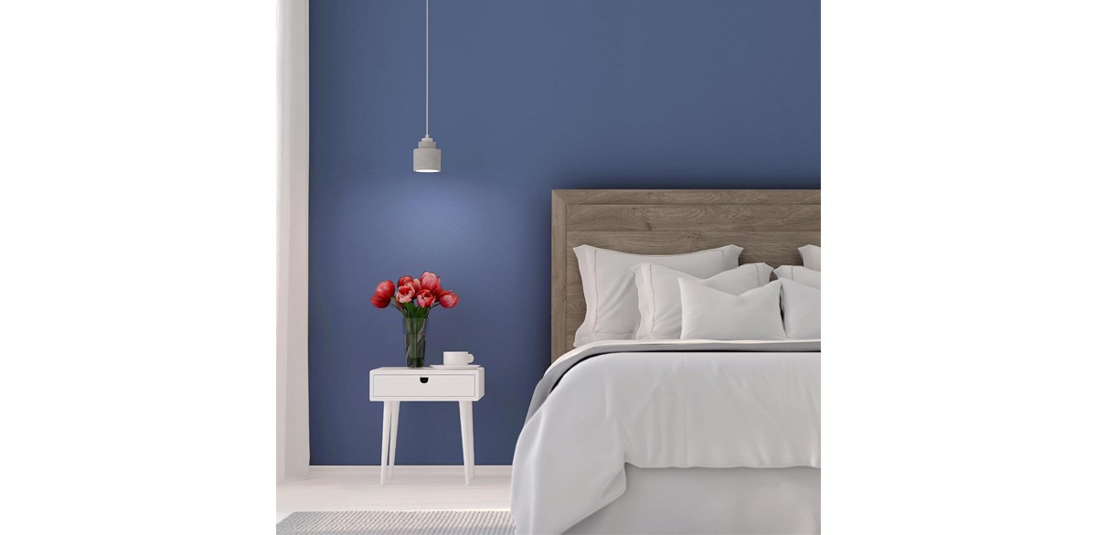 RUST-OLEUM Paint Wall in Smoked Navy