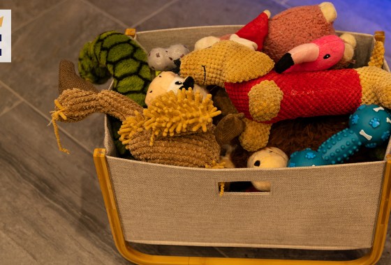 Best dog toy basket
