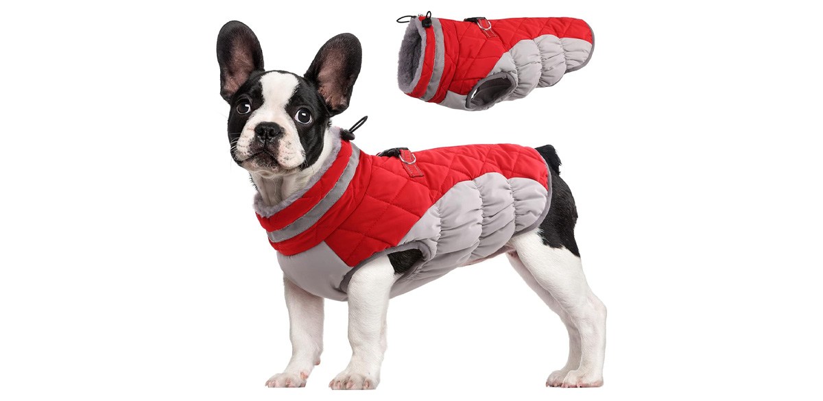 FUAMEY Dog Coat