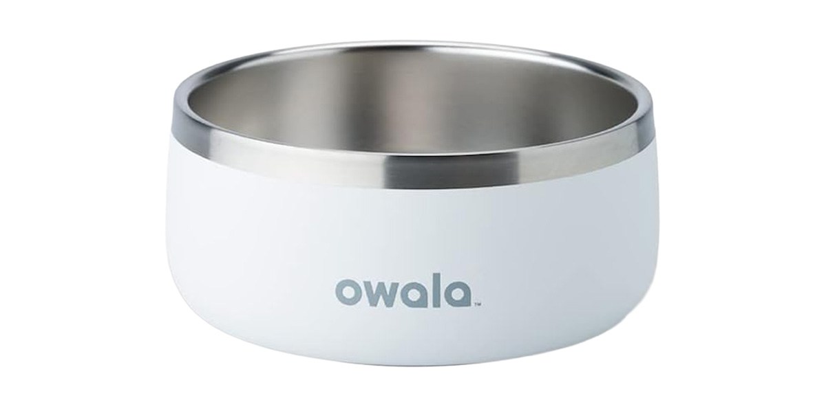 Owala Pet Bowl