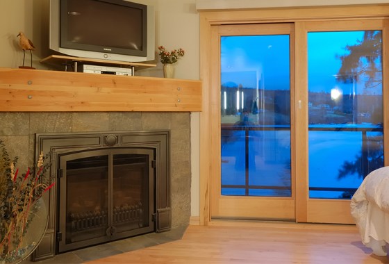 Best fireplace door