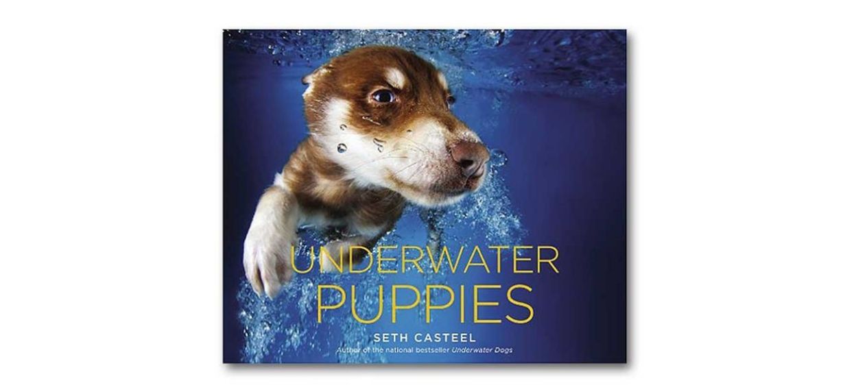 Underwater Puppies book by Seth Casteel