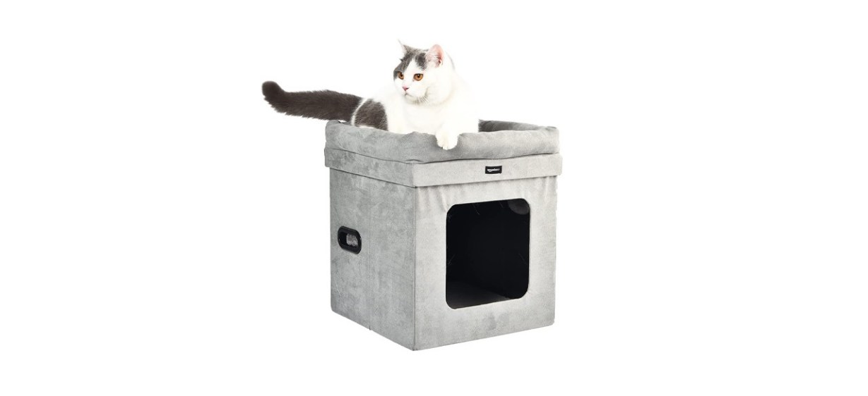 cat house with a bed