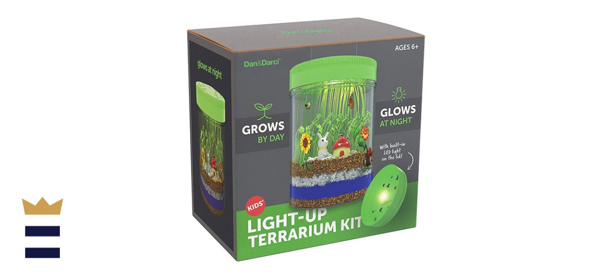 Dan&amp;Darci’s Light-up Terrarium Kit for Kids