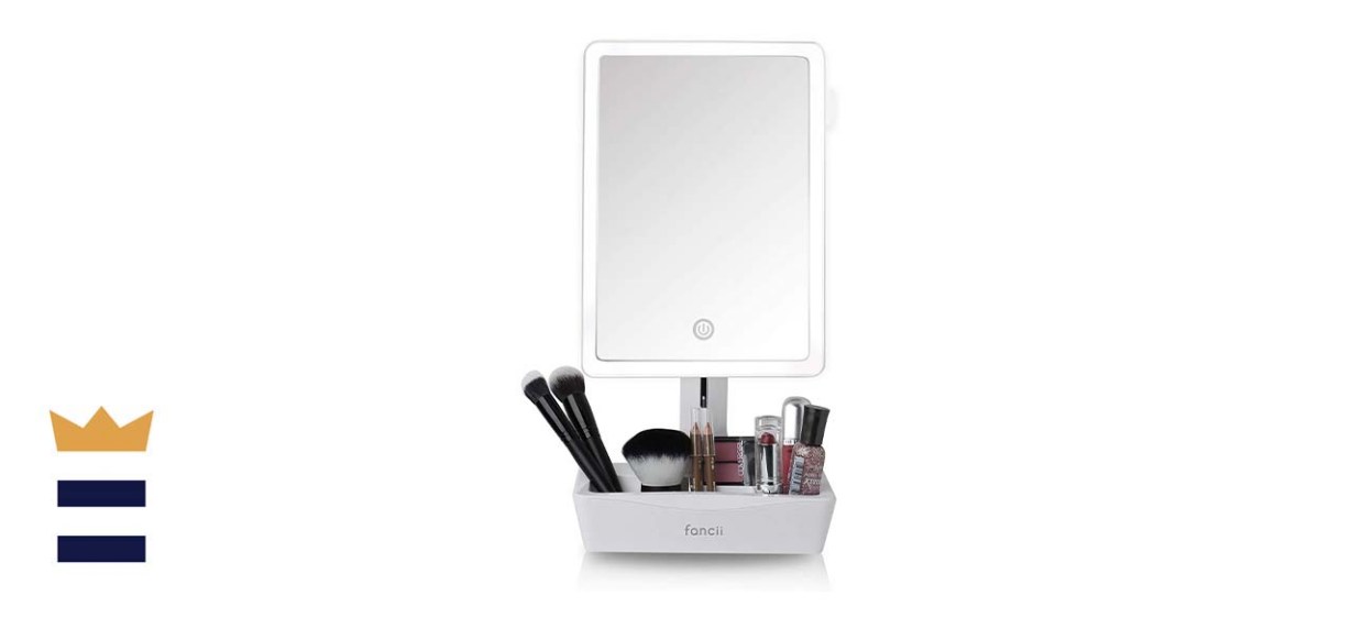 Fancii Large LED Vanity Makeup Mirror With Cosmetic Organizer