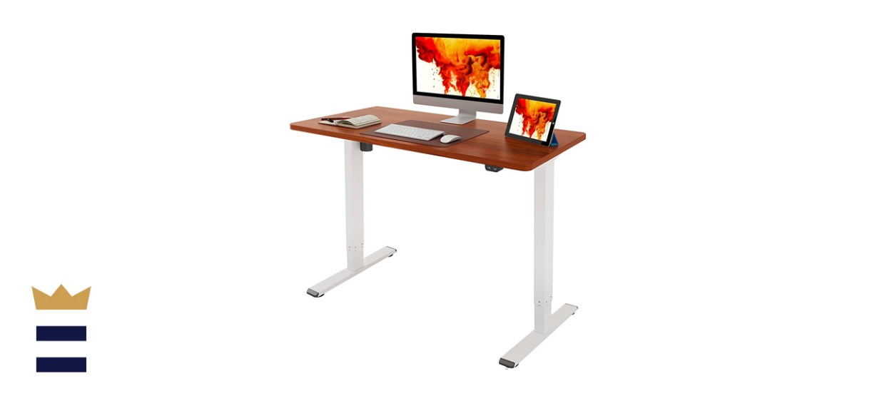 Flexispot EC1 Electric Standing Desk