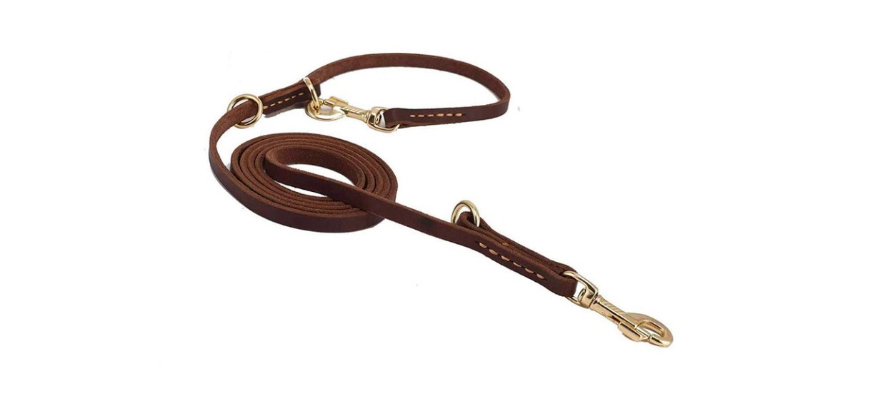 Guiding Star Hands-Free Leather Dog Leash
