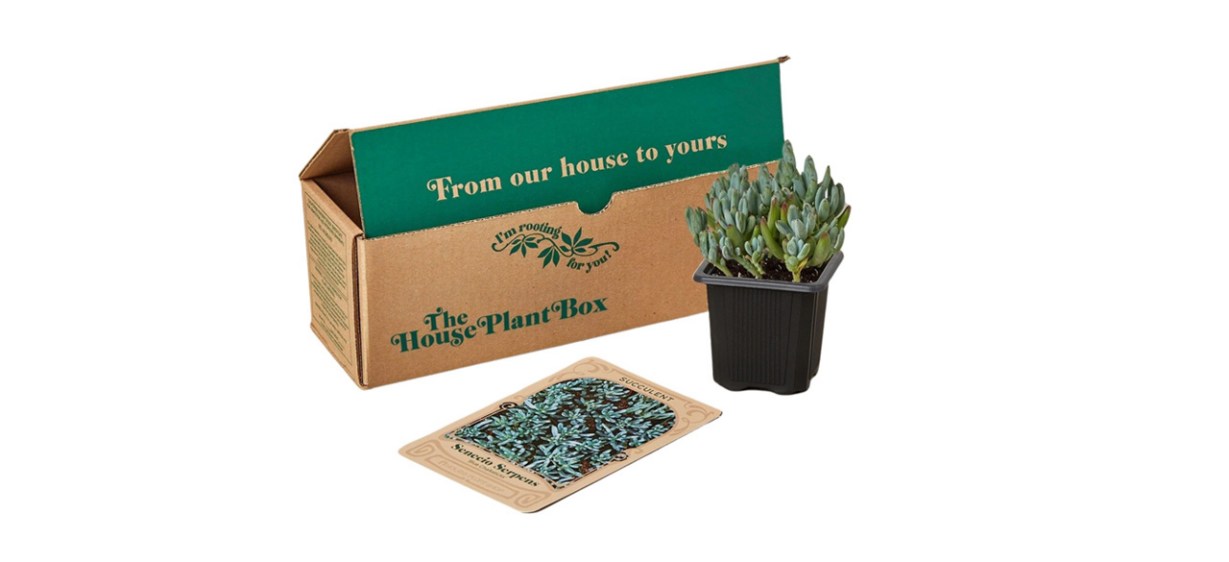 Best Cratejoy House Plant Box Succulent Box Best Cratejoy House Plant Box Succulent Box