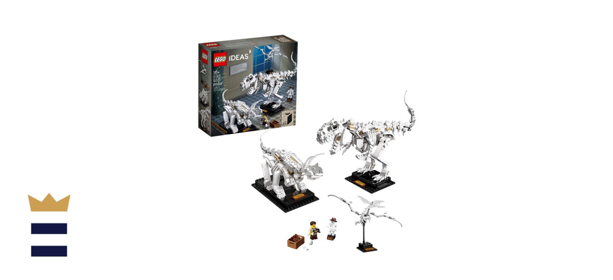 Ideas Dinosaur Fossil Building Kit