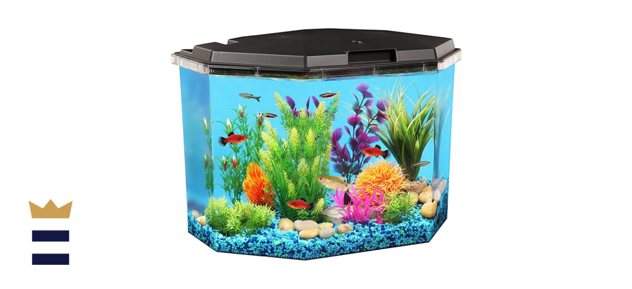Koller 6.5-Gallon Aquarium Kit 
