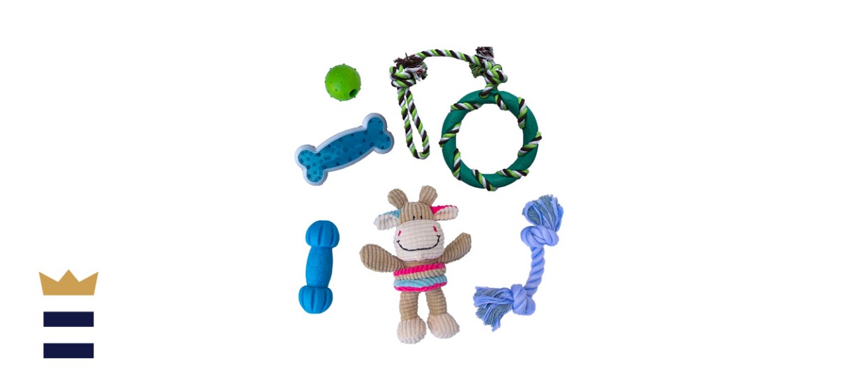 Rocket &amp; Rex 6-Pack Dog Chew Toys