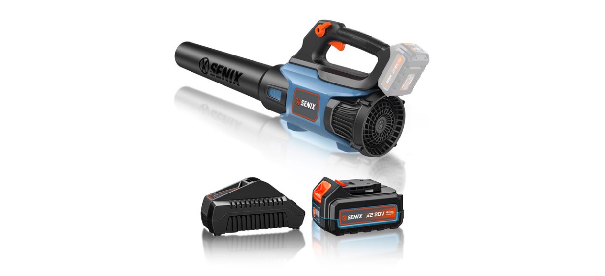 SENIX 20 Volt Max* Cordless Leaf Blower