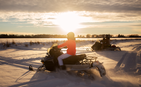 5 Best Snowmobile Covers - Feb. 2023 - BestReviews
