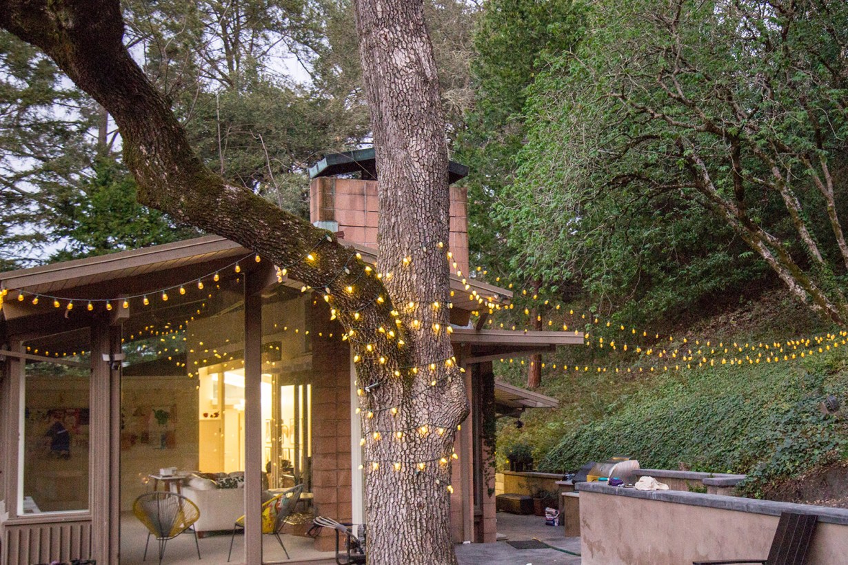 solar Christmas lights hanging on a tree