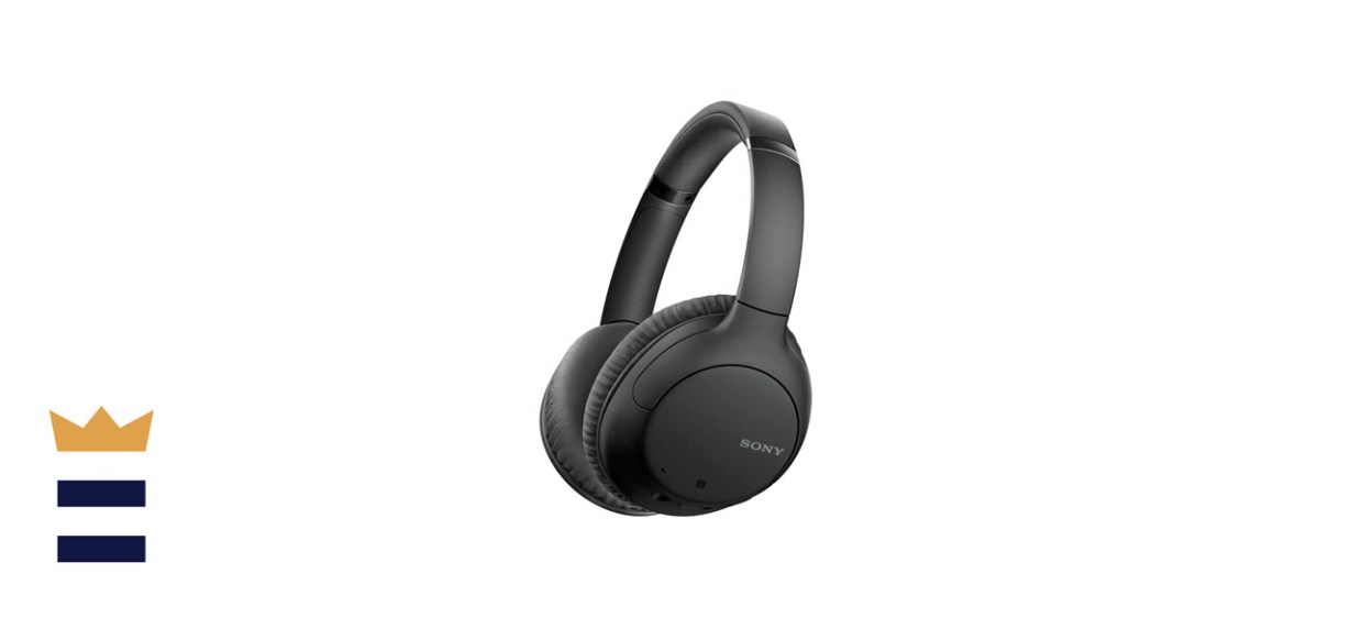 Sony Noise Canceling Wireless Headphones