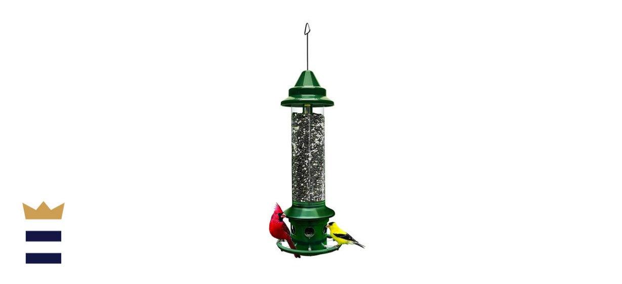 Squirrel Buster Plus Squirrel-Proof Bird Feeder