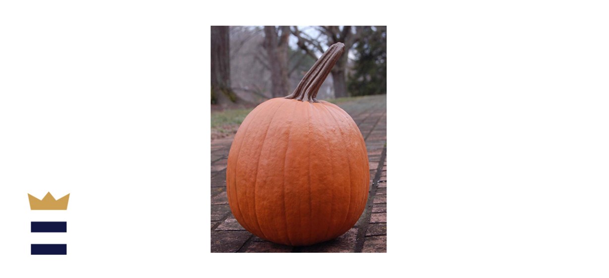 The Holiday Aisle Large Stem Pumpkin