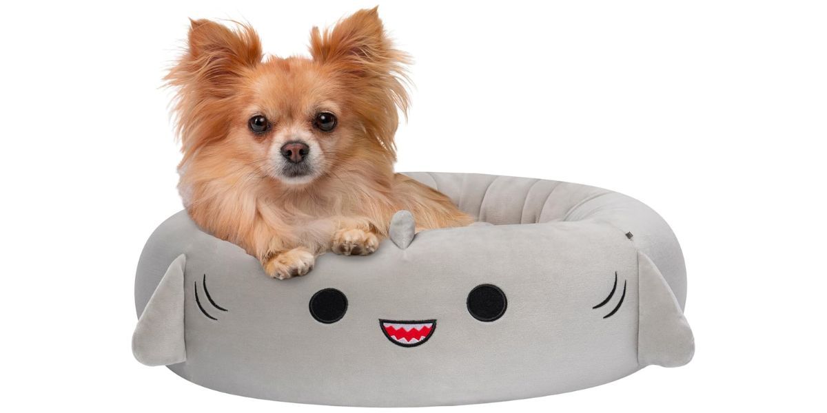 Squishmallows 24-Inch Gordon Shark Pet Bed