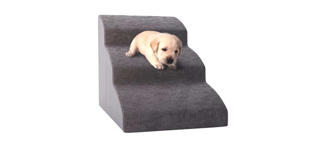 Best dog stairs for best sale small dogs