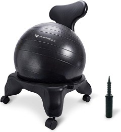 PharMeDoc Balance Ball Chair