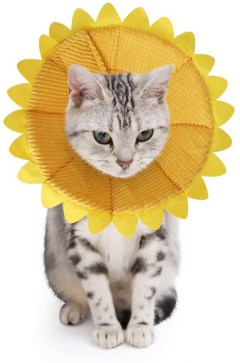 SLSON Soft Flower Pet Cone