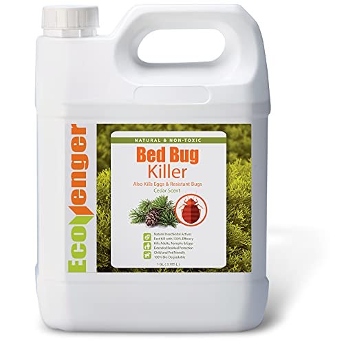 EcoVenger EcoRaider Bed Bug Killer