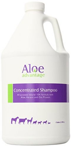 Aloe Advantage All-Purpose Concentrated Shampoo