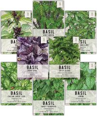Seeds Needs Culinary Basil Seed Packet, 8 Varieties