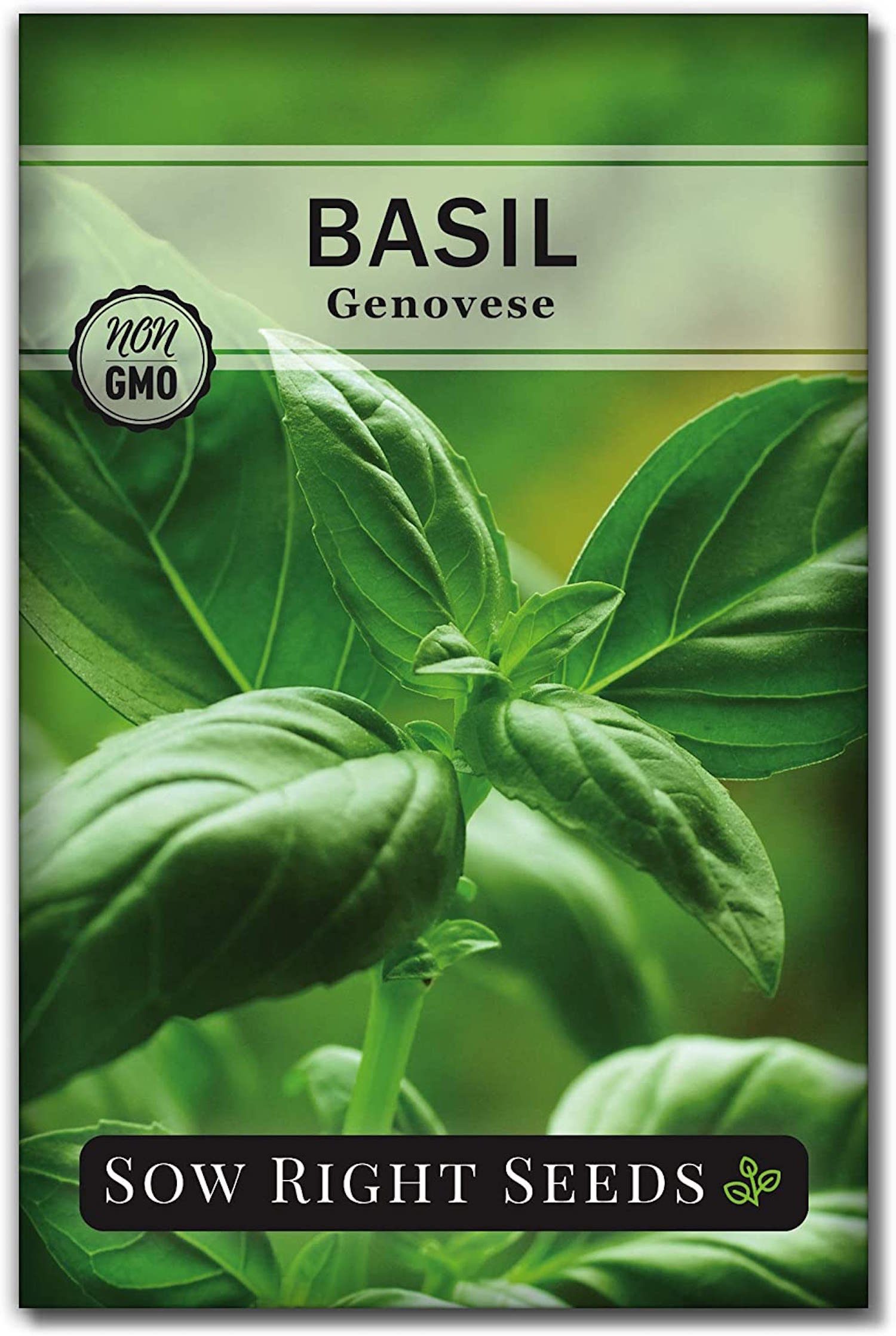 Sow Right Seeds Genovese Sweet Basil