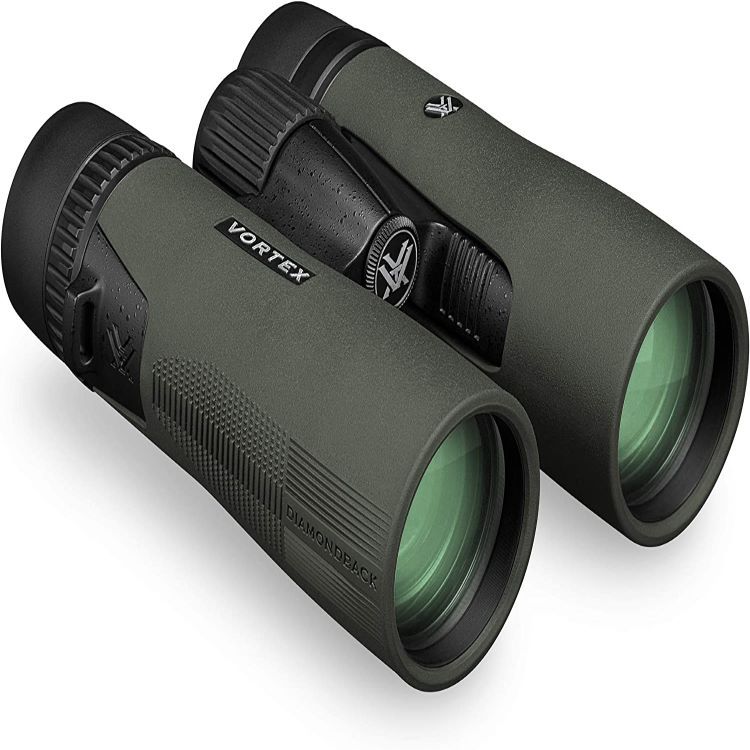 5 Best Binoculars - Jan. 2023 - BestReviews
