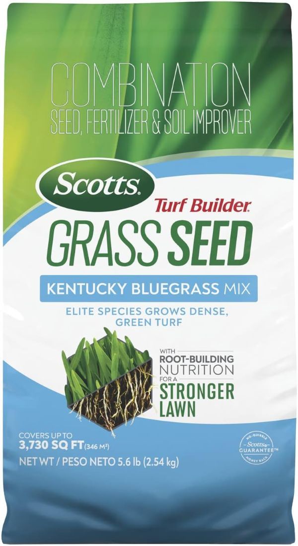 Scotts Turf Builder Grass Seed Kentucky Bluegrass Mix