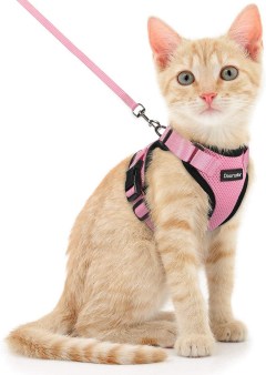 Dooradar Cat Leash and Harness Set