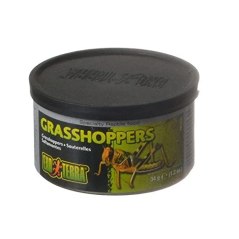 Exo Terra Grasshoppers