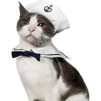 Namsan Sailor Costume for Cats