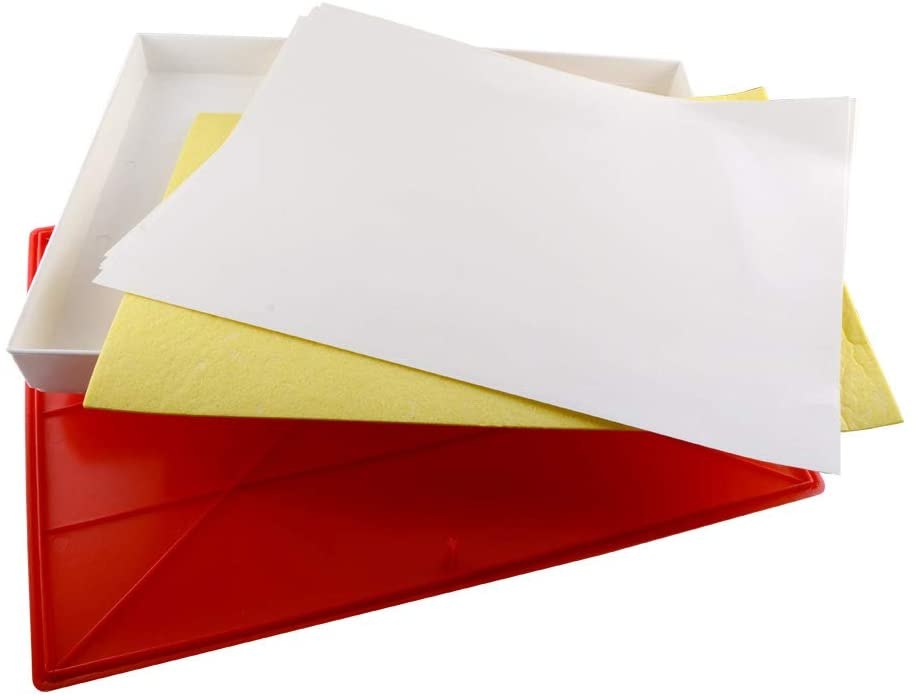 Masterson Sta-Wet Airtight Box Premier Palette