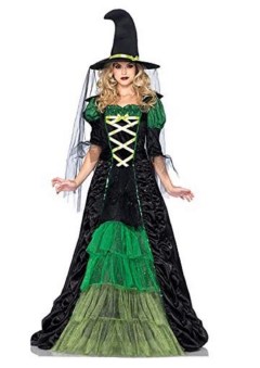 Leg Avenue 2-Piece Storybook Witch Costume